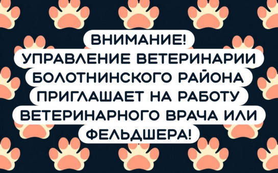 Управление ветеринарии Болотнинского района расширяет команду и приглашает на работу ветеринарного врача или фельдшера!